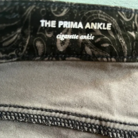 BNWT Adriano Goldschmied AG Velvet Paisley Jeans