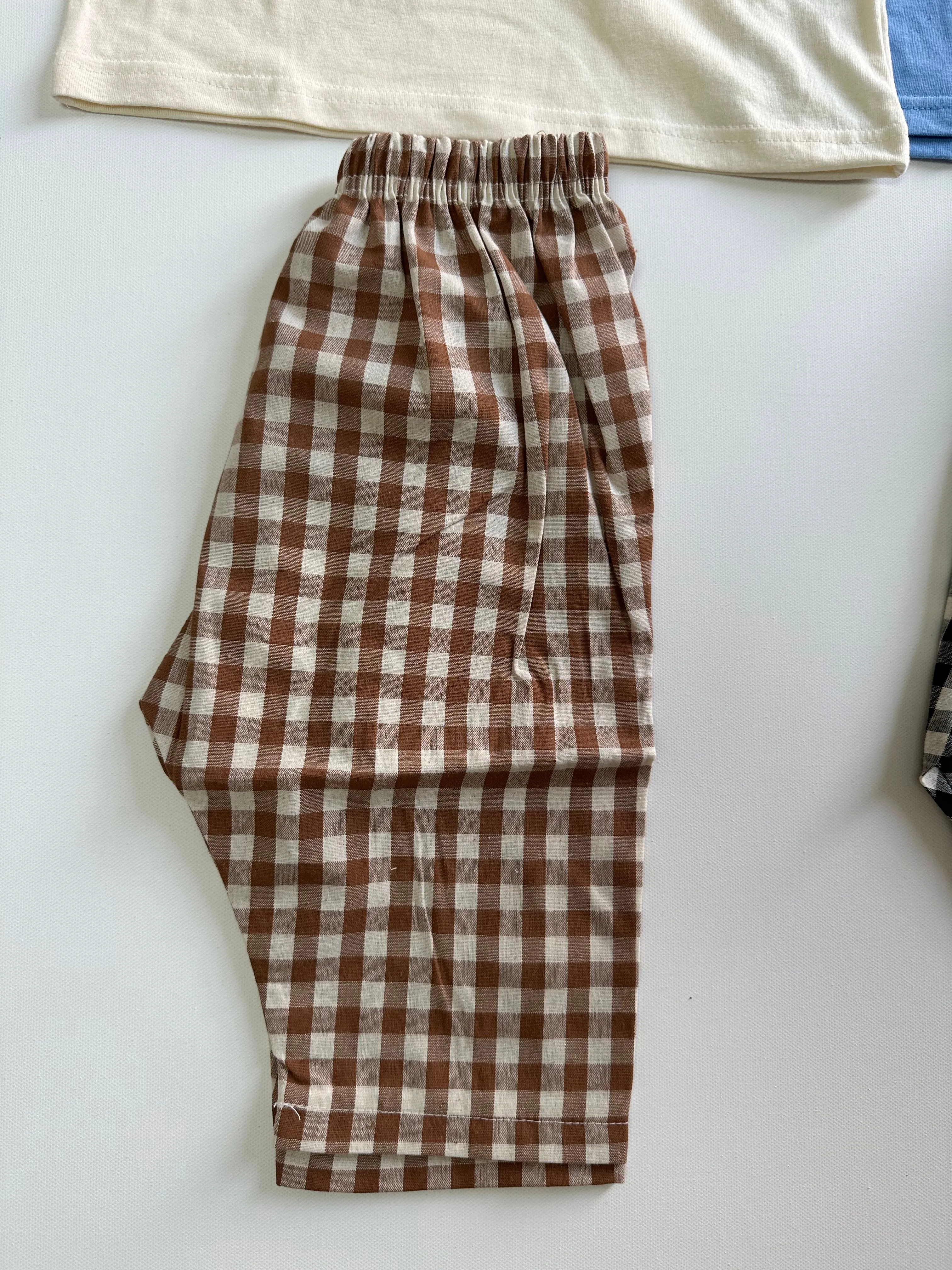 Dino Tshirt and Gingham Ankle Pants Set