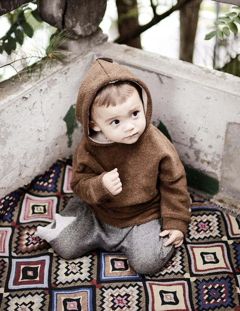 Dinosaur Hoodie Brown