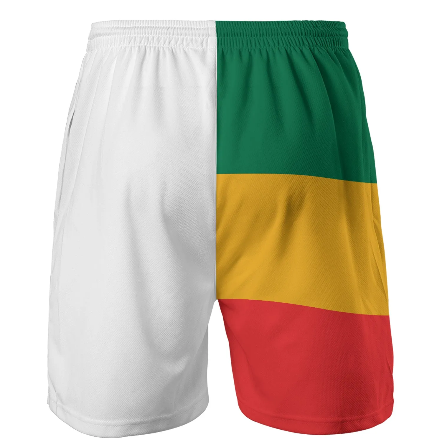 Lion Of Judah Athletic Rasta Shorts