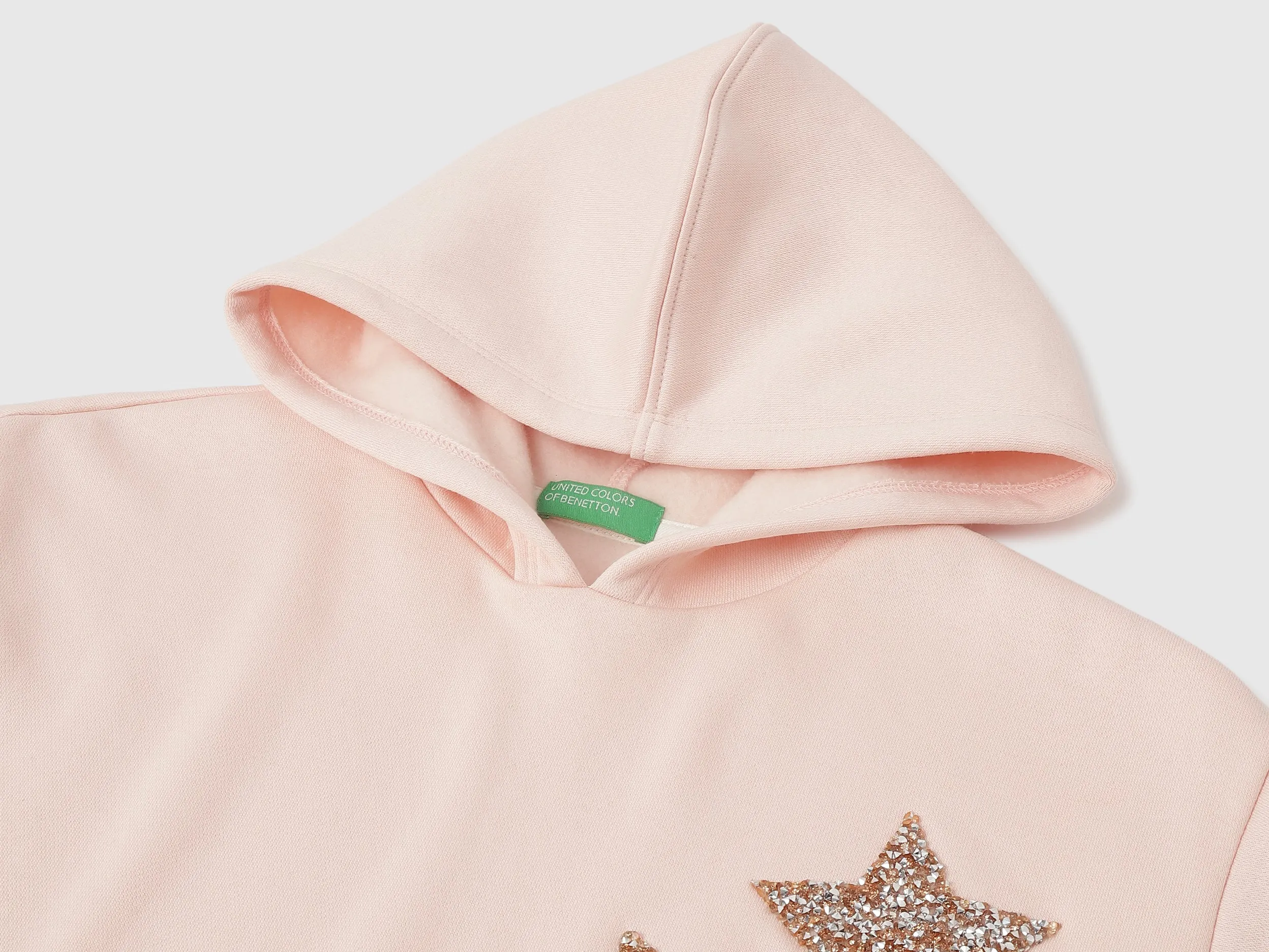 Regular Fit Hooded Neck Embellished Sweatshirt
