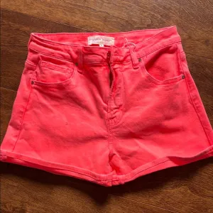 Risen Vibrant Coral Women's Shorts